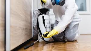 Real Estate Pest Inspections in Arlington, GA